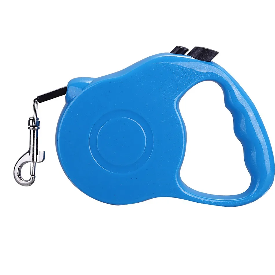 nylon leash dog