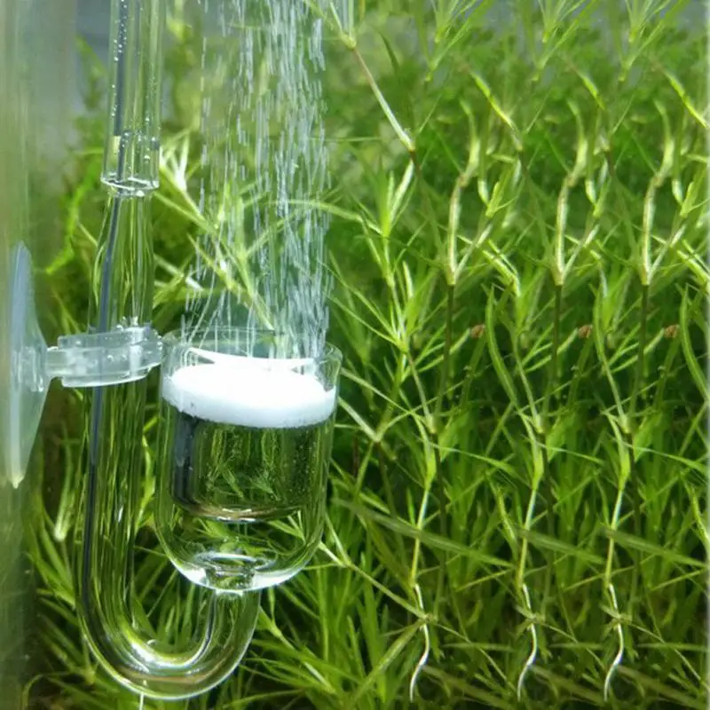 

Hot Aquarium Co2 Diffuser With Ceramic Disc For Fish Tank Plant Moss Bubble Diffuser Plate Carbon Dioxide Generator Accessories
