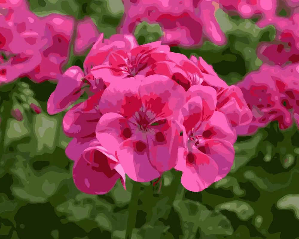 i949_vectorized_vectorized