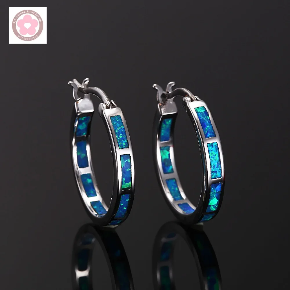 Chic Blue Fire Opal Circle Hoop Earrings main image 0