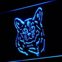 I983 Сомали Cat Pet Shop Дисплей декор свет знак включения/выключения 20+ Цвета 5 размеров