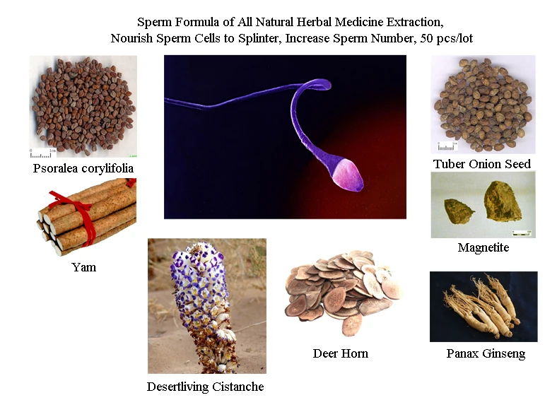 

Natural Herbal Extraction Formula to Accelerate Sperm Regeneration, Improve Intercourse Behavior and Strength and Stamina
