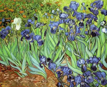 

Scenery 100% hand painted Van Gogh canvas artwork pictures for the wall Office background Impression High quality