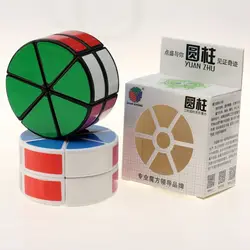Diansheng 2-Слои лепесток Колонка Скорость Magic Cube Puzzle кубы Образовательные Игрушечные лошадки для детей