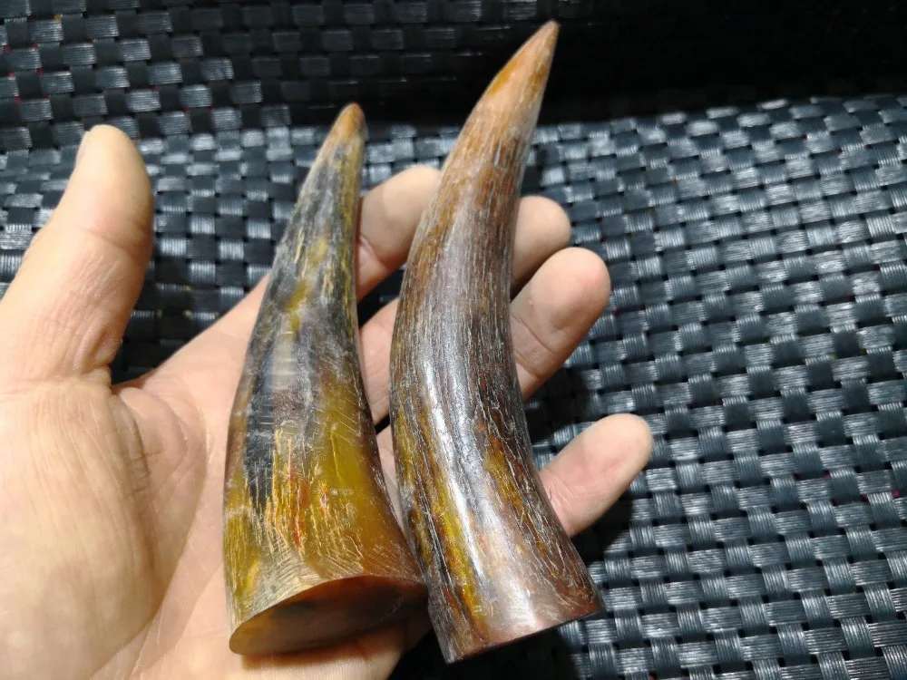 

The three generation of natural wild raw Yak horn horn of Montenegro a pair