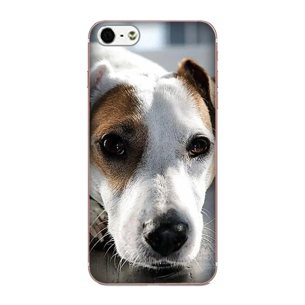 2017 Новый Роскошный чехол для телефона Jack Russell Dog Puppy 2 Huawei Mate 7 8 9 10 20 P8 P9 P10 P20 P30 Lite Plus