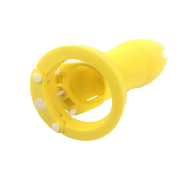  (8)