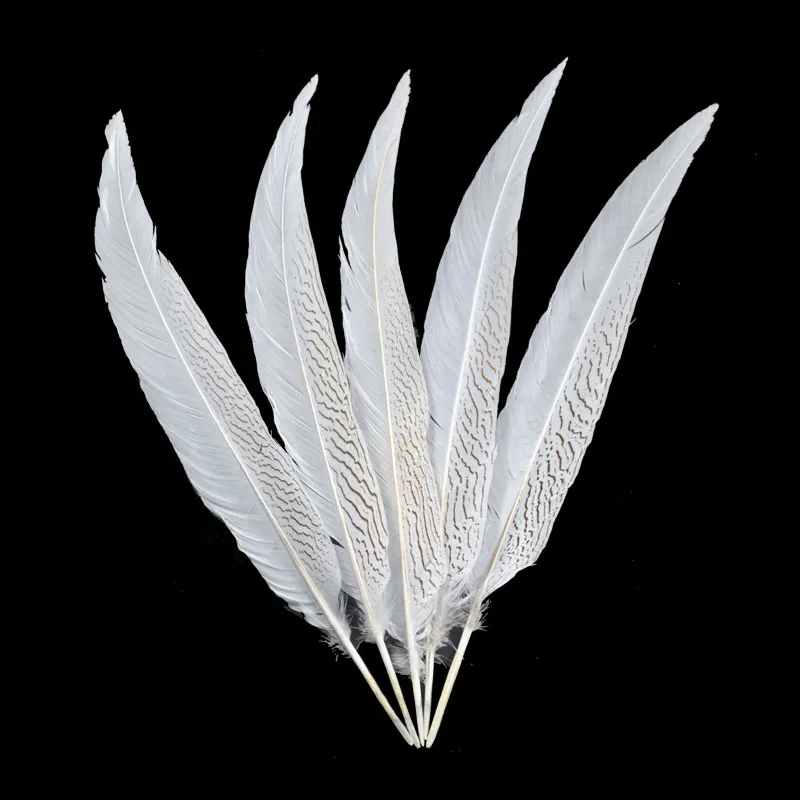 

Wholesale 50-55 CM/ 20-22 Inch Silver pheasant feathers diy decoration