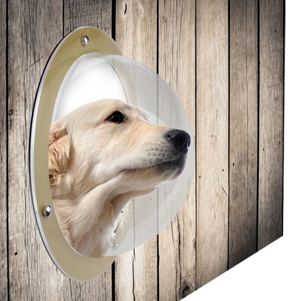 X6