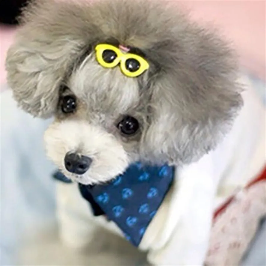 Buy New 10PCS Pet Dog Hair Clips Cute Doggie Boutique