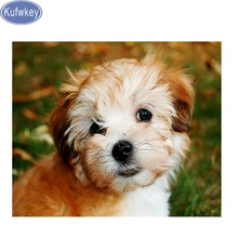 Kufwkey полная квадратная Алмазная вышивка хаганский Рисунок собаки стразы, алмазная живопись на заказ, вышивка крестиком, паззл-мозаика
