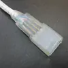 8 программ управления ler для управления 220V 230V водонепроницаемый IP67 SMD5050 RGB Гибкая светодиодная лента ► Фото 3/5