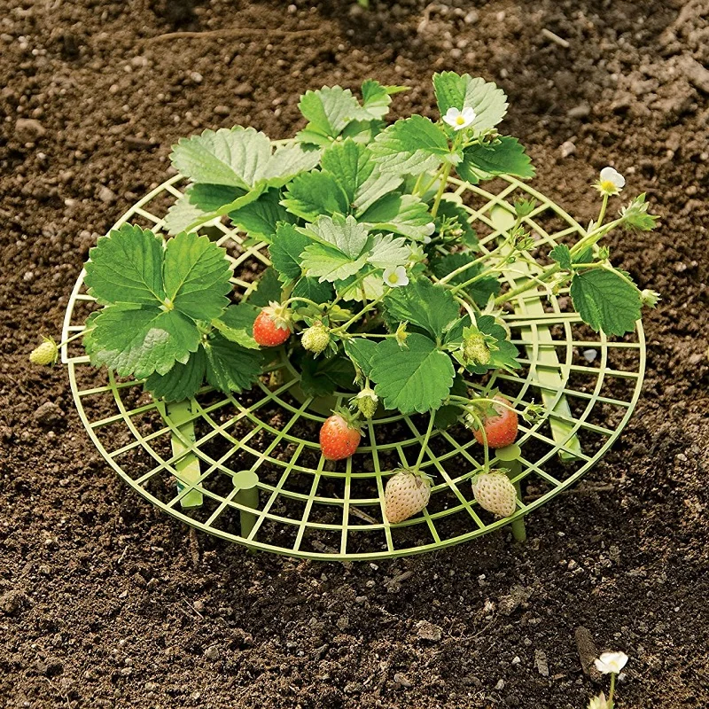 

30CM 5 Sets Strawberry Growing Supports Removable Plant Support Far from the Soil Keep Strawberries Off Rot in the Rainy Days