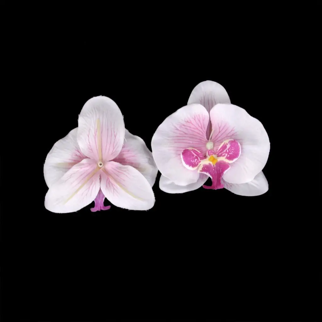 Лучшая партия 20 шт 9 см бабочка цветок орхидеи искусственный цветок украшение головы для свадьбы заколка аксессуар
