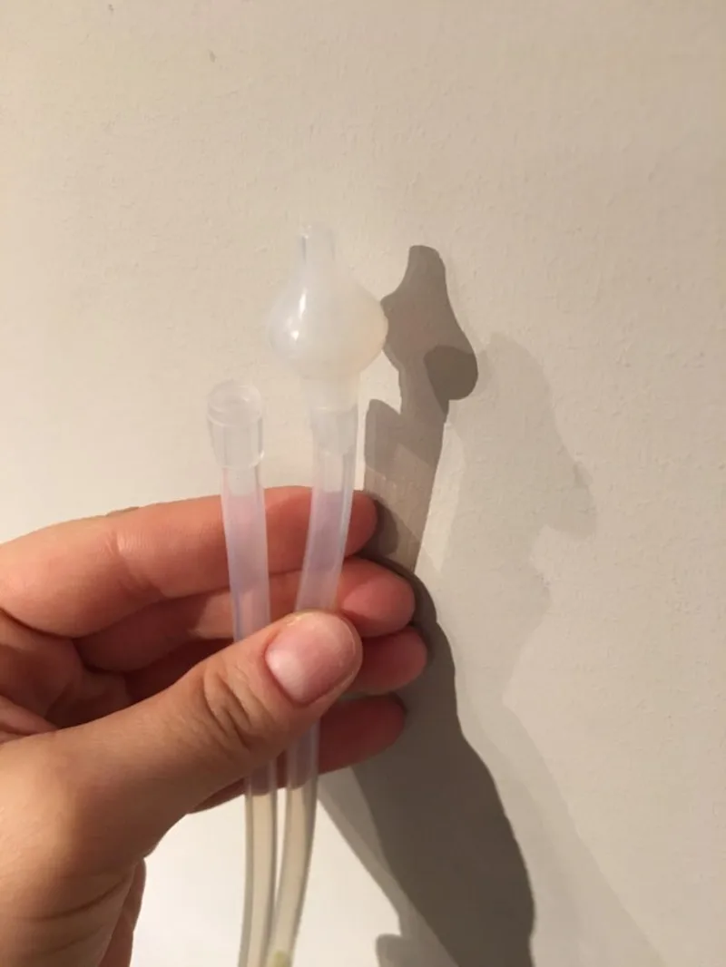 UTB8tgjvt5aMiuJk43PTq6ySmXXah