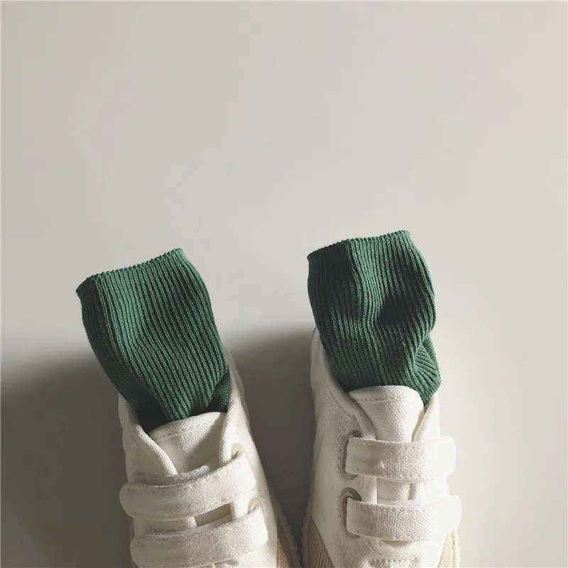 9532983040_918428038