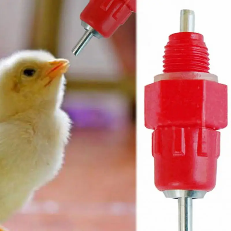 

new generation of automatic chicken water drinking cups chicken balls 25 mm pipe nipple drinkers Chicken