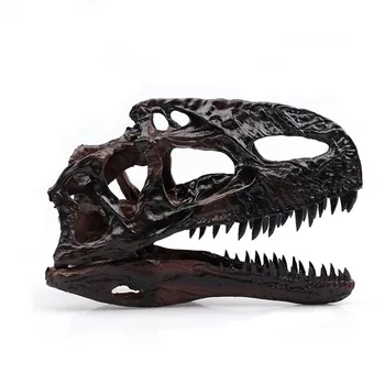 

Dan Jilong Single Spinosaurus Resin Fossil of Dinosaur Skull Model From Collection Hand Made Resin Craft Of Home Decoration