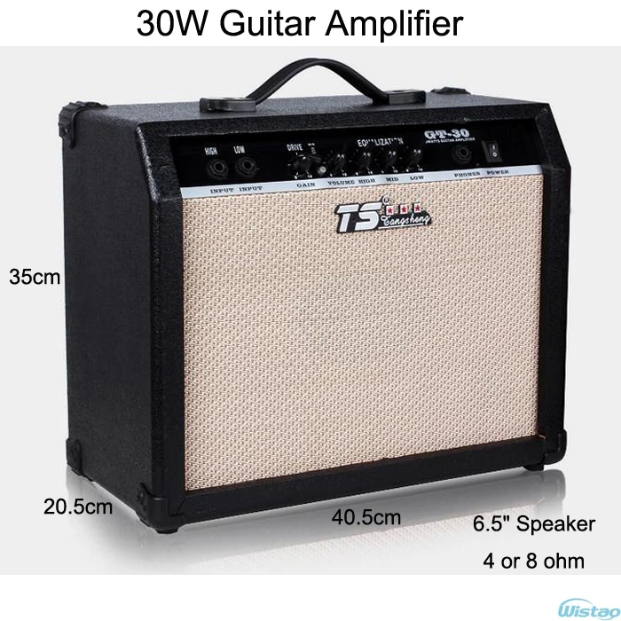 30W Digital Acoustic Guitar Amp Amplifier Speaker 6.5 inches with