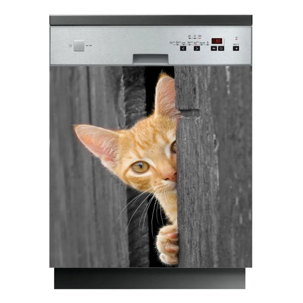 ori-naklejka-na-zmywark-kotek-2829