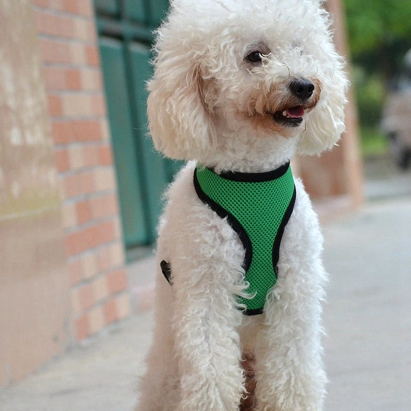 

Mesh Dog Harness for Small Dogs Pet Harnesses Cat Chest Strap Adjustable Puppy Harness Safety Walk Pets Cats Outdoor Products