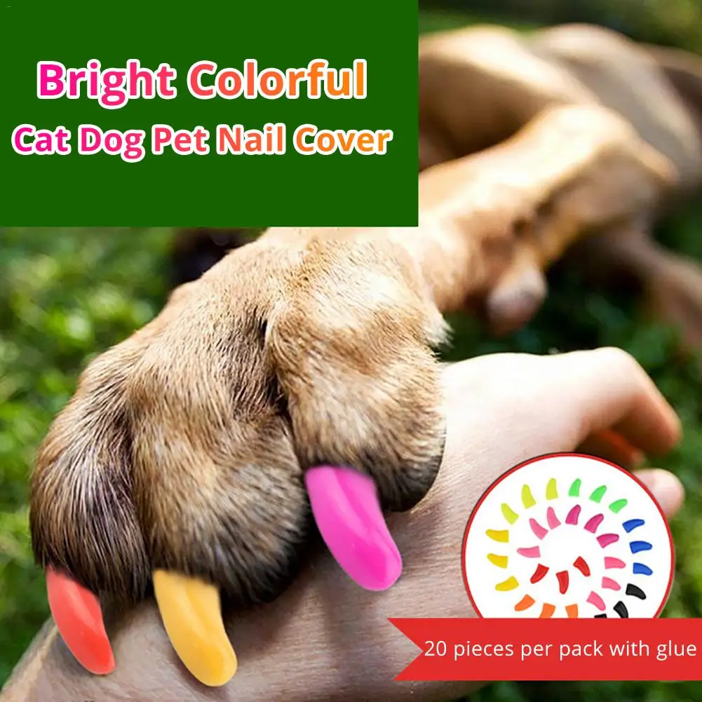 

Pet Cat Dog Grooming 20 PCS/Pack Scratch-Resistant Cat And Dog Pet Nail Cover Claw Protector With Glue Cats Products Big Sale