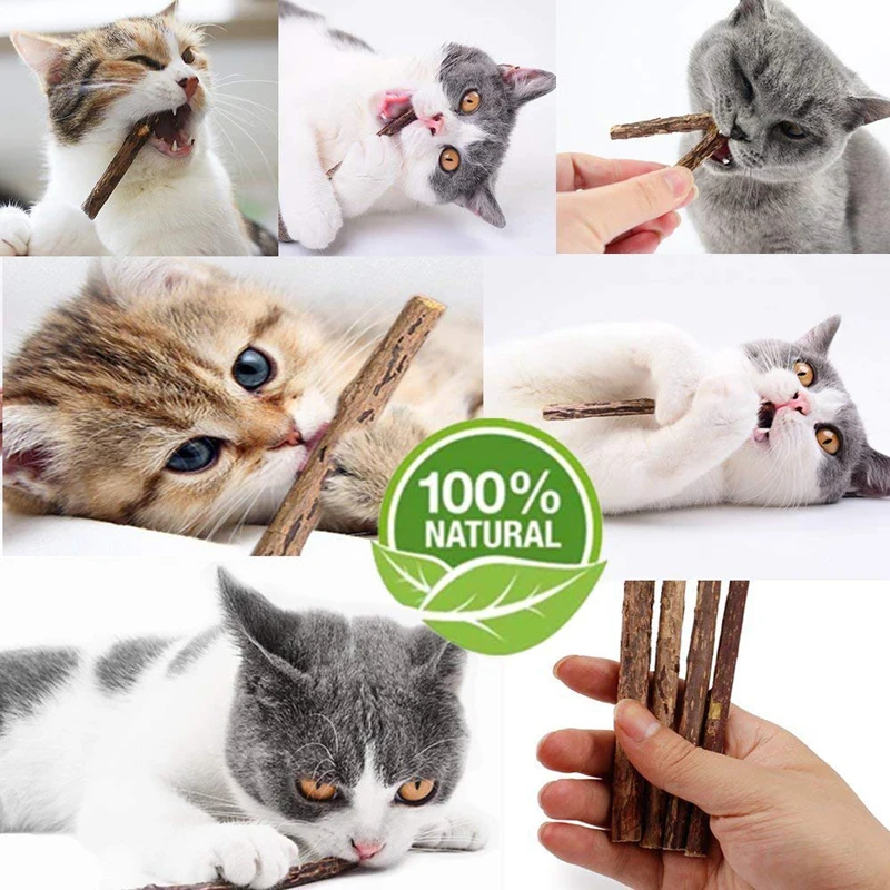 Кошачья мята палочки для чистки зубов жевательная игрушка для кошек натуральный мататаби актинидия Серебряная лоза стоматологические лакомства молярные палочки
