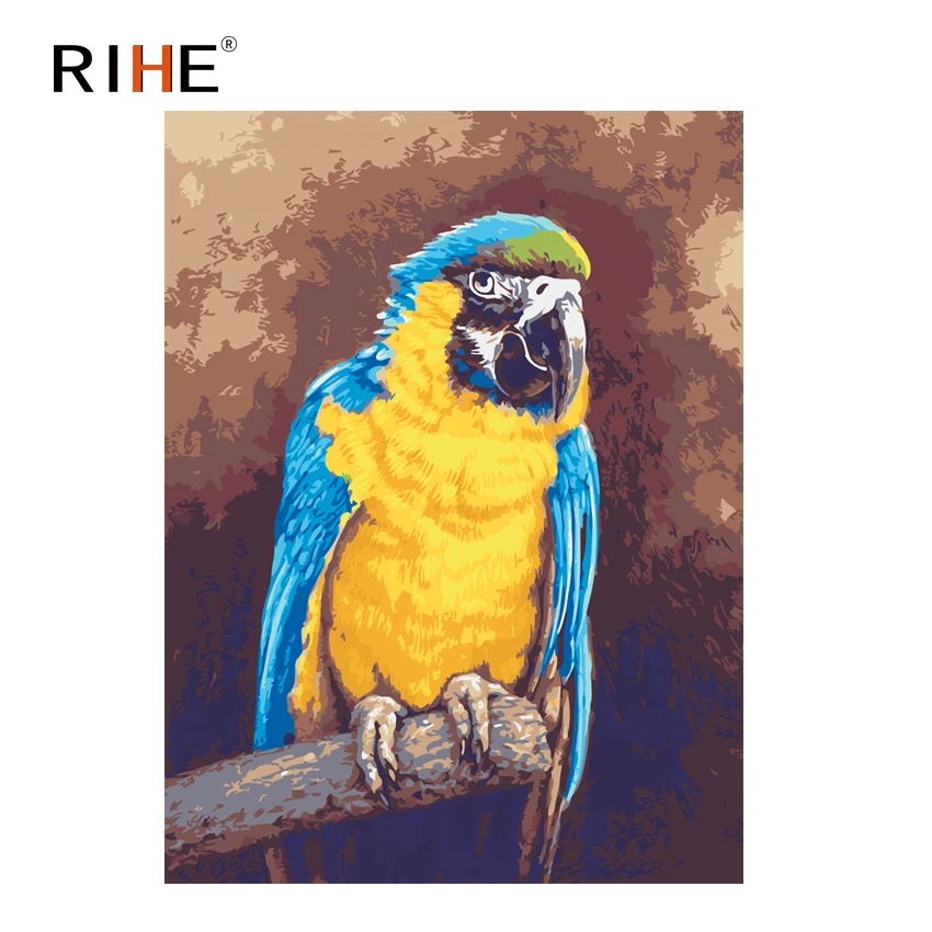 

RIHE Parrot Diy Painting By Numbers Bird Oil Painting On Canvas Hand Painted Cuadros Decoracion Acrylic Animal Paint Home Decor