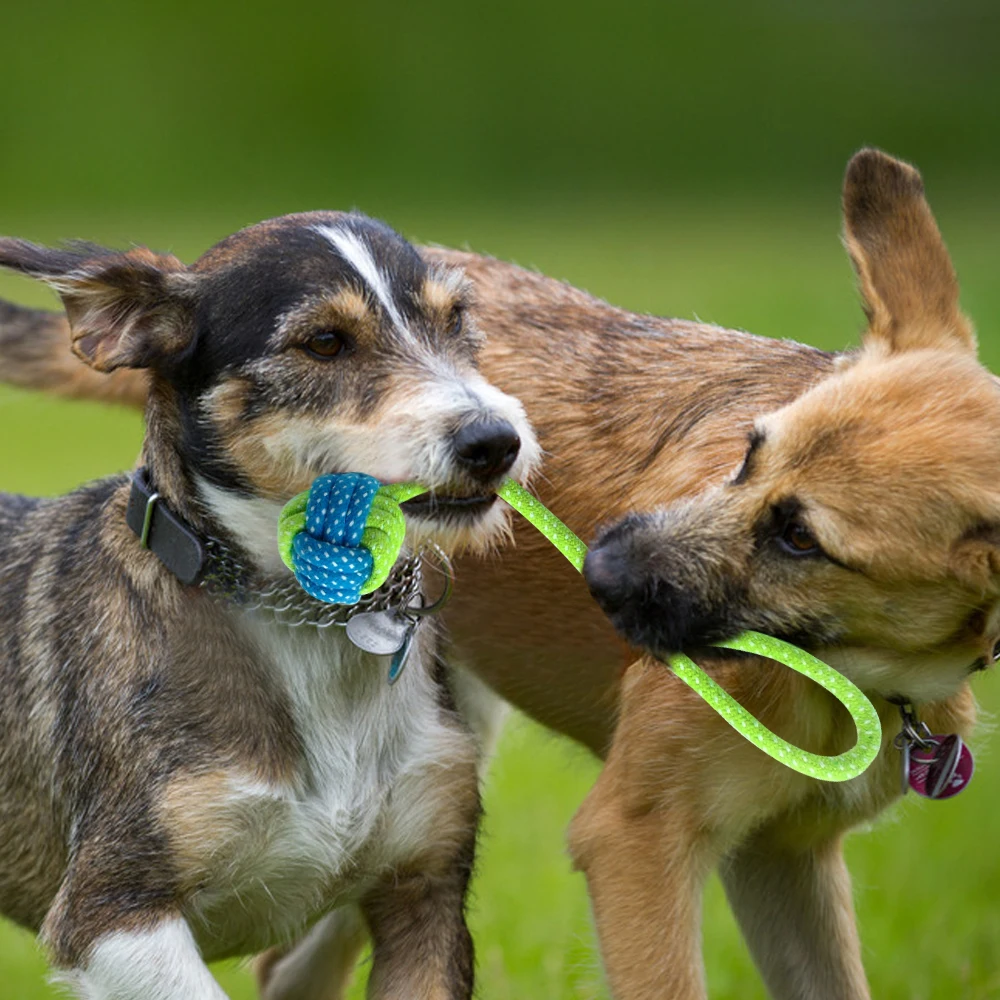 cotton puppy cotton rope cotton puppy cotton rope