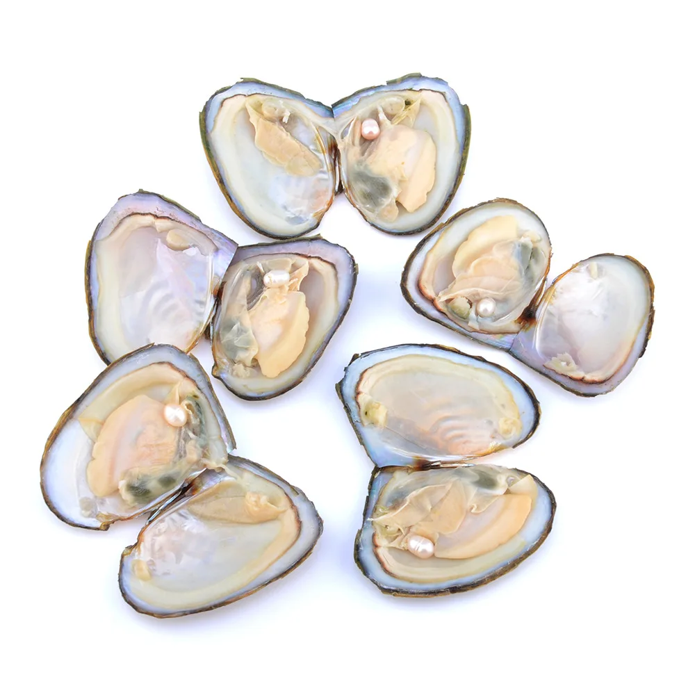 

New Natural Pearl Freshwater Cultured Rice Beads Vacuum-Packed Oysters Pearl Oyster Pearl Mussel Fashion Free Shipping Z1103