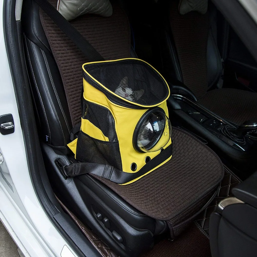 81XS8zdHvPL._SL1500_