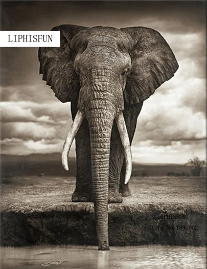 

Elephant Diy Diamond Embroidery Sets Animals Painting Crafts 5d Diy Diamond Painting Square Full Diamond Painting