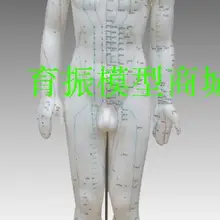 Безопасный тренировочный Манекен мужской 60 см ex-b2 модель Кожа белый манекен для медсестры