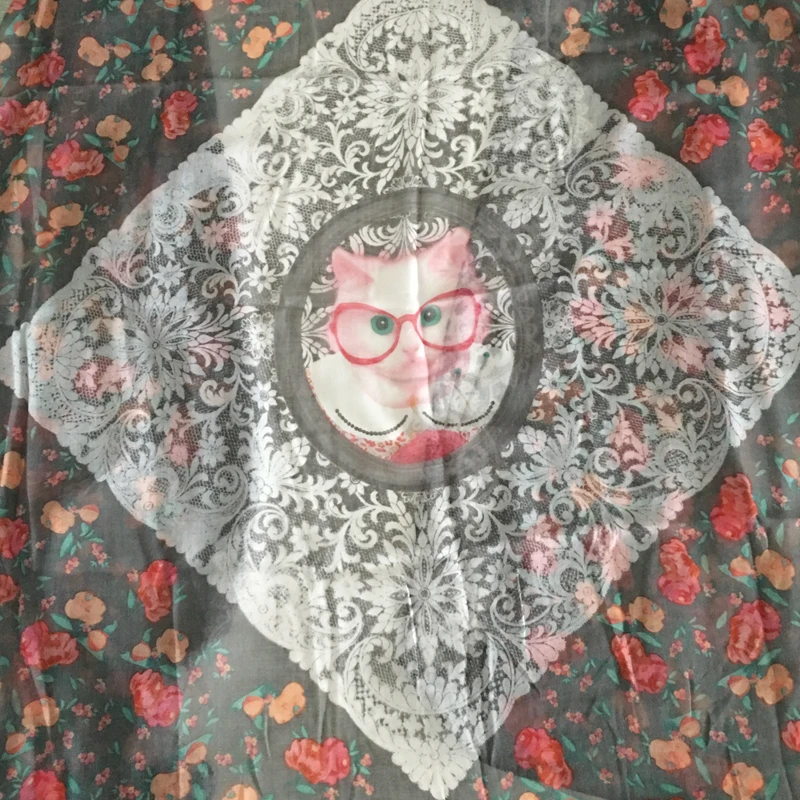 dg1024-cat scarf-800-5