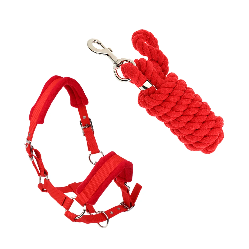 Soft Padded Adjustable Horse Headcollar (Middle) + 2.5 Meters Lead Rope