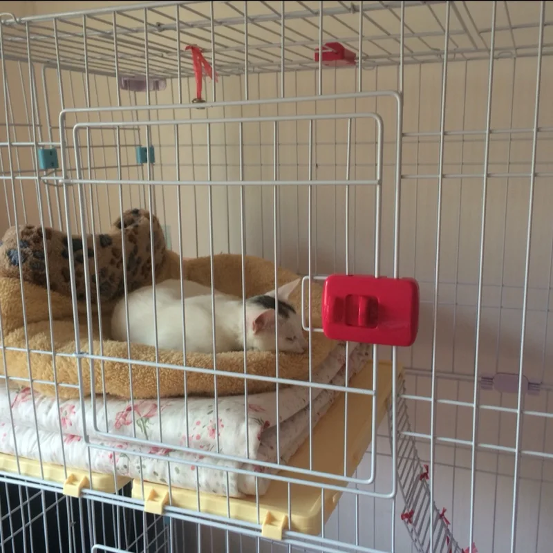 Pet accessories dog cage cat rabbit and jumping platform pedal boardin