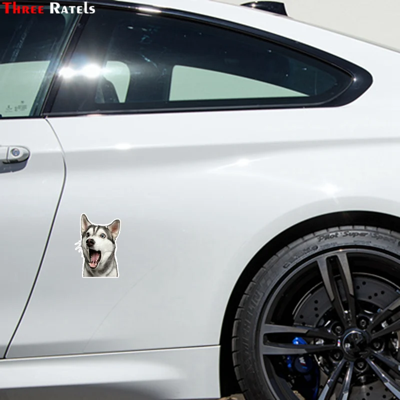 33_