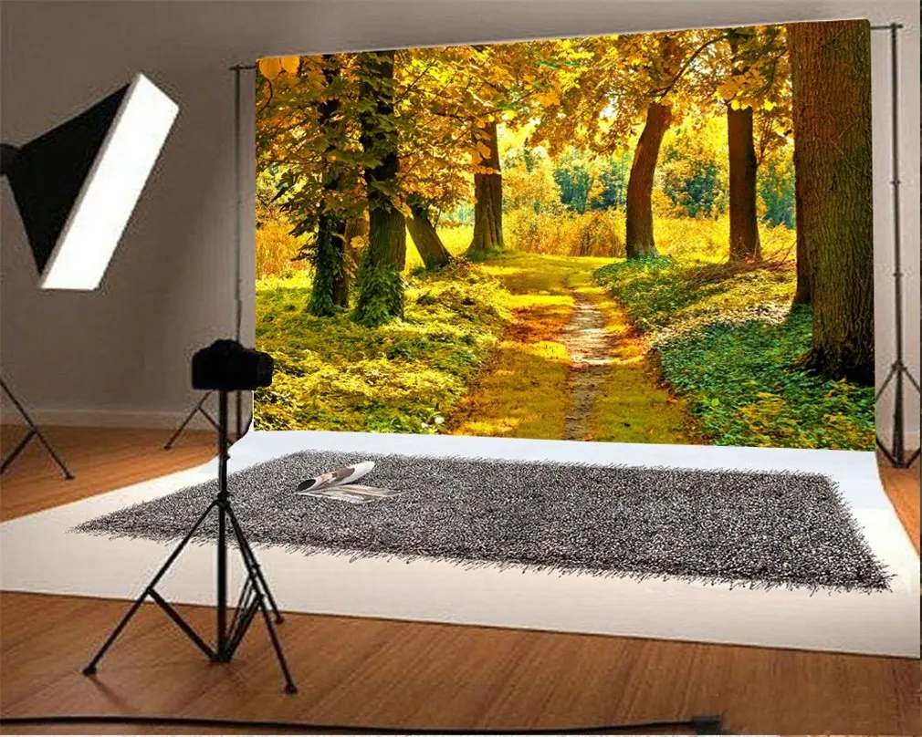 

Photography Backdrop Autumn Jungle Golden Leaves Green Grass Dirt Road Sunshine Nature Travel Photo Background Party
