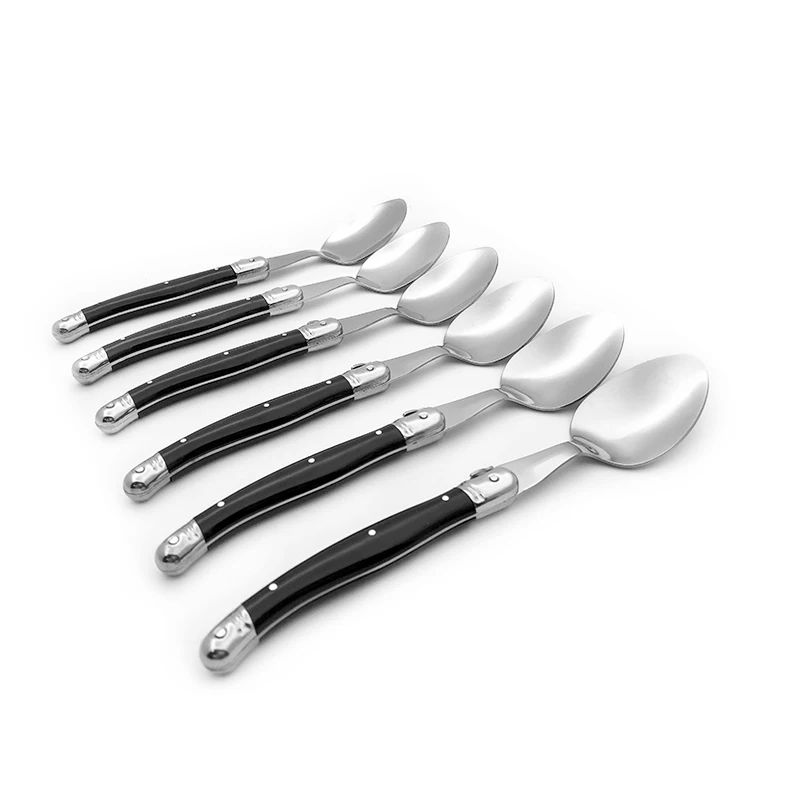 Black dinner spoon set  (5)
