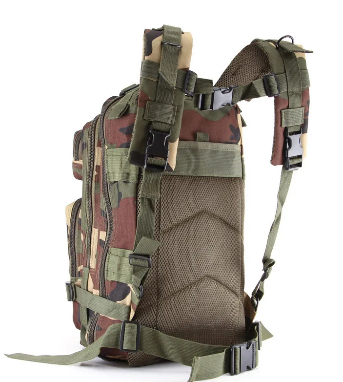 KBP-003-31