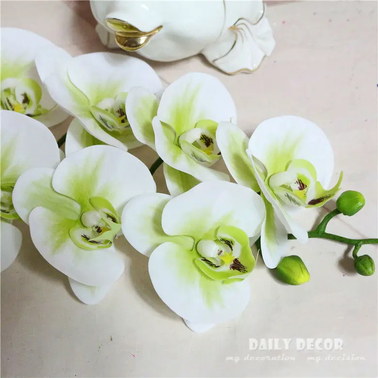 3445859285_356759457