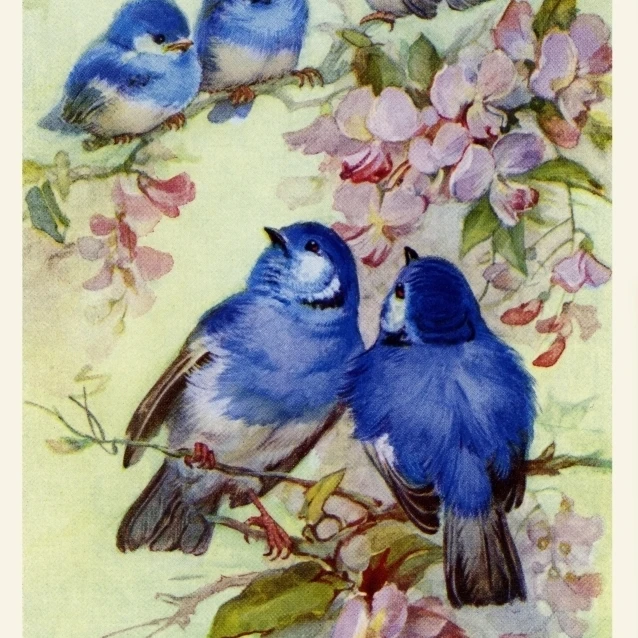 Bluebirds & Blossoms Poster Print By Mary Evans Peter & Dawn Cope Collection (18 X 24)