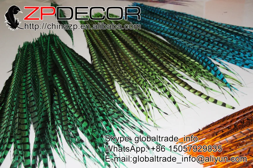 Новинка! ZPDECOR 100 110 см 20 шт./лот высокое качество окрашенные цветные женские