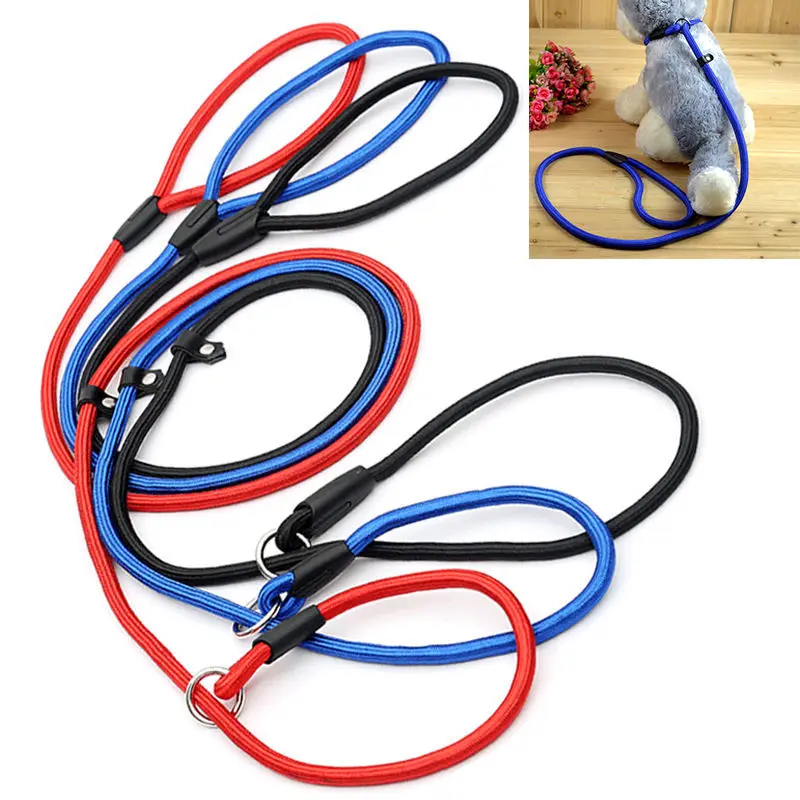Nylon Dog Training Leash Dogs P Chain Slip Collar Walking Leads Rope S