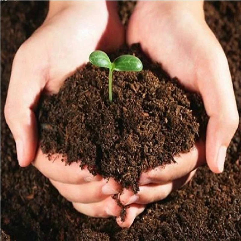 

Multifunction Organic Planting Nutrient Soil Coconut Fiber Coir Pellet Sterile orchid soil pet pad for Reptile keep wet and warm