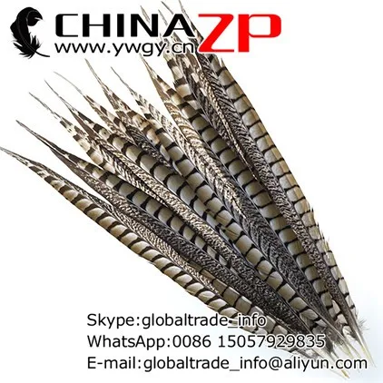 Lady Amherst Pheasant feather ranges in size from 16-20 inches and is a stiff feather