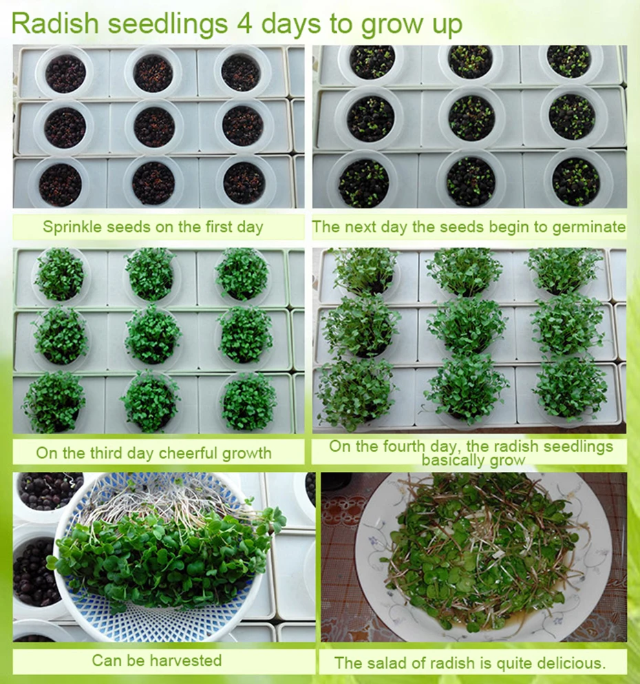 1 компл. 3 отверстия сайт растений гидропоники системы Soilless детские горшки Выращивание растений рост рассады комплект Крытый сад коробка