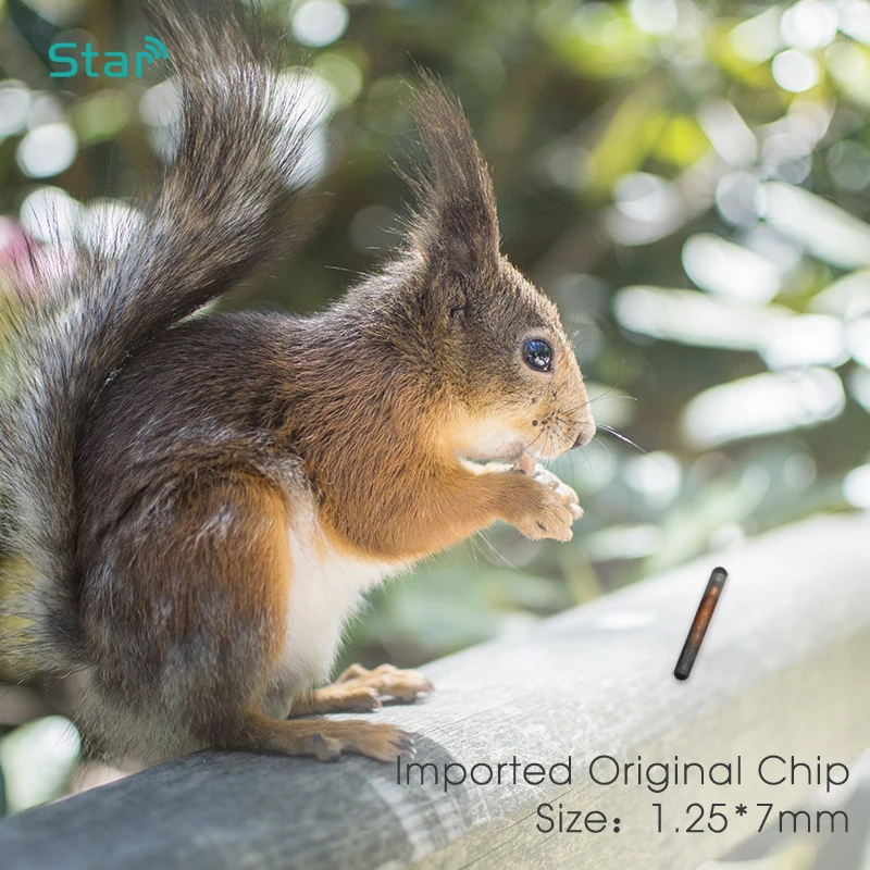 High Quality standard high quality standard 04