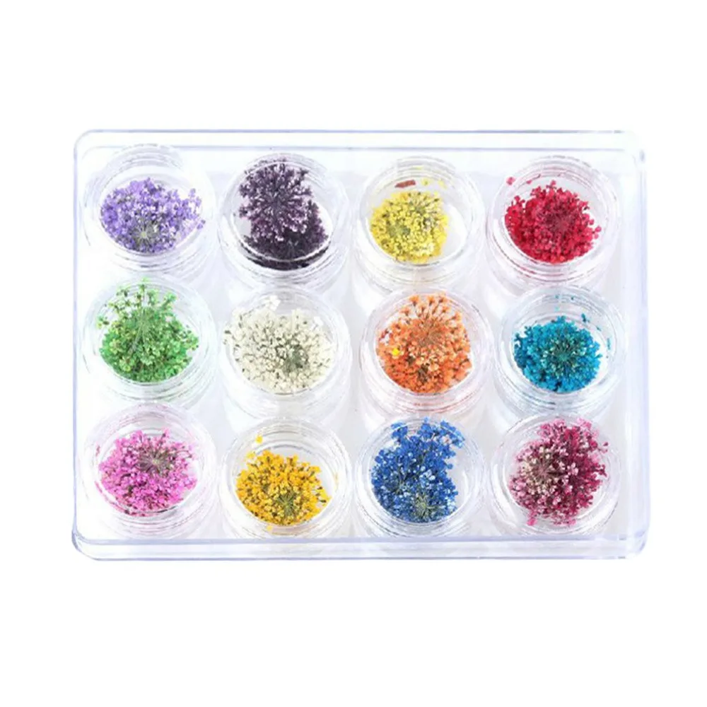 12Pcs/ Colors/Set Mixed Dried Flowers Nail Beauty Art DIY ...