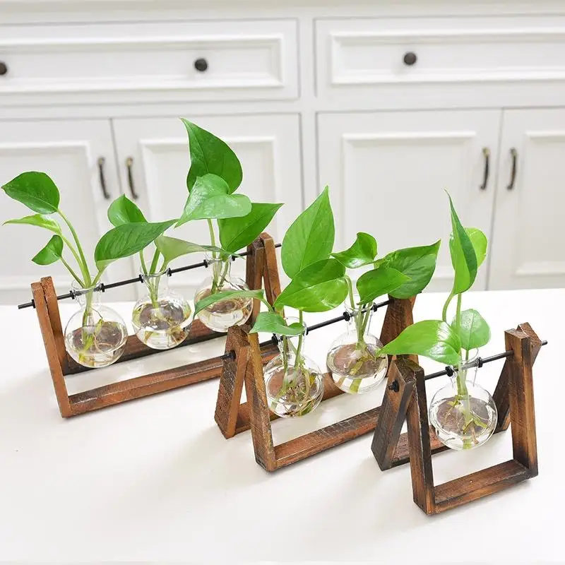 Adeeing Creative Plant Glass Hydroponic Container ...